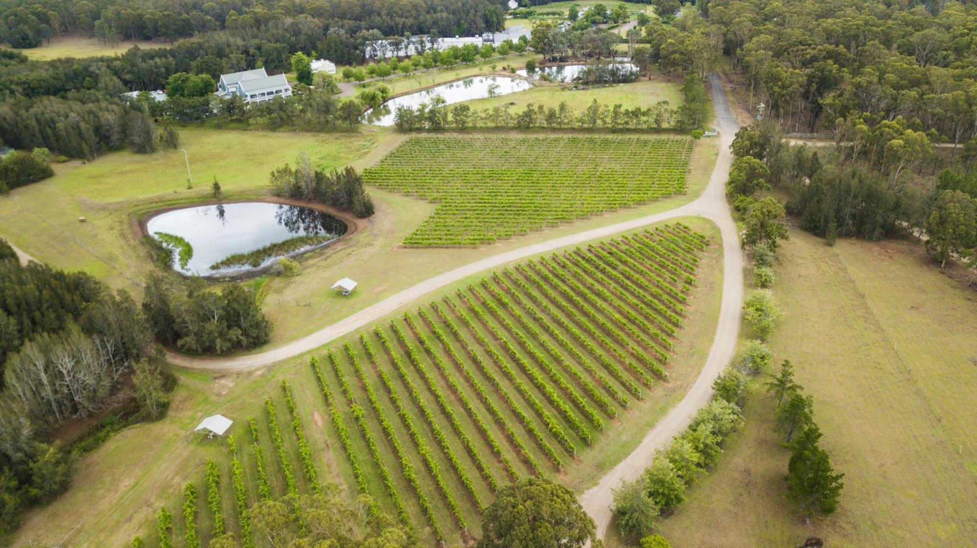 The Carriages Boutique Hotel And Vineyard Pokolbin Exterior foto